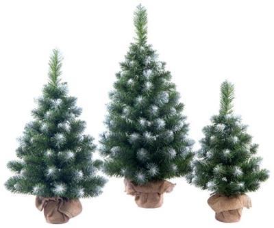 Ель настольная Лесная Симфония белая 0,9 м пенек + мешковина Max Christmas в интернет гипермаркете «Планета Лета». Фото Ель настольная Лесная Симфония белая 0,9 м пенек + мешковина в интернет гипермаркете «Планета Лета». Фото