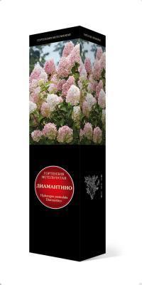 Гортензия метельчатая Диамантино/ЦКорЛюкс в интернет гипермаркете «Планета Лета». Фото