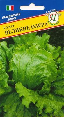 Салат Великие озера в интернет гипермаркете «Планета Лета». Фото