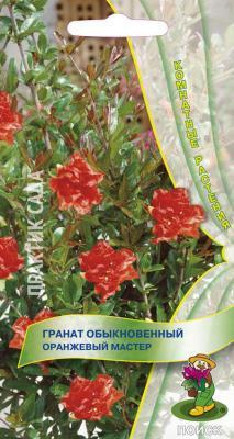 Гранат обыкновенный Оранжевый мастер (ЦВ) ("К) 5шт. в интернет гипермаркете «Планета Лета». Фото