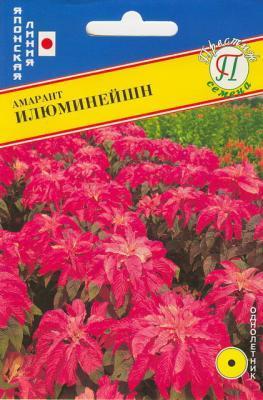 Амарант Илюминейшн в интернет гипермаркете «Планета Лета». Фото