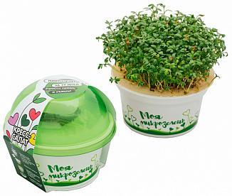 Набор для выращивания "Моя микрозелень КРЕССАЛАТ" в интернет гипермаркете «Планета Лета». Фото