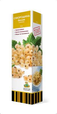 Смородина белая (традиционные сорта) Смольяниновская П в интернет гипермаркете «Планета Лета». Фото