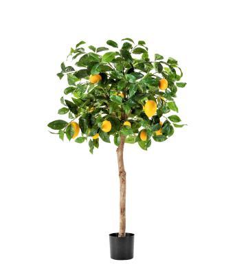 Лимонное дерево с плодами на штамбе в-110 см д-50 см 10.59704N в интернет гипермаркете «Планета Лета». Фото
