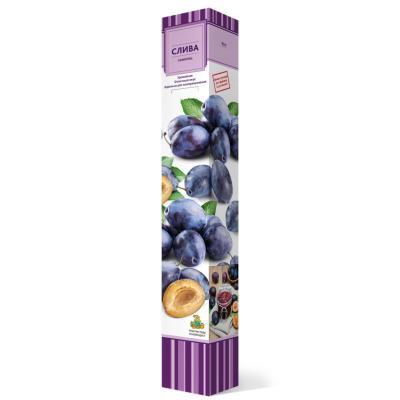 Слива Кубанская Ранняя (туба) в интернет гипермаркете «Планета Лета». Фото