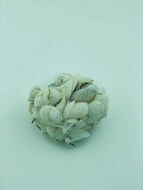 Ракушки набор 100 гр A-007 в интернет гипермаркете «Планета Лета». Фото