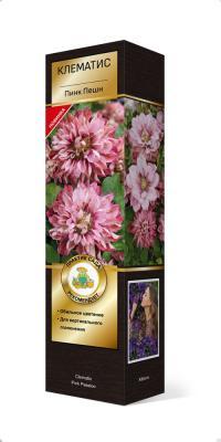 Клематис крупноцветковый Пинк Пешн/КЛюкс в интернет гипермаркете «Планета Лета». Фото