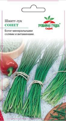 Лук шнитт Сонет в интернет гипермаркете «Планета Лета». Фото