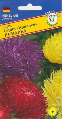 Астра Краллен Смесь Ярмарка в интернет гипермаркете «Планета Лета». Фото
