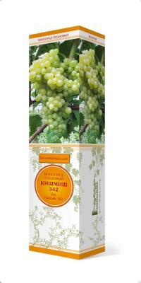 Виноград плодовый Кишмиш №342 П в интернет гипермаркете «Планета Лета». Фото