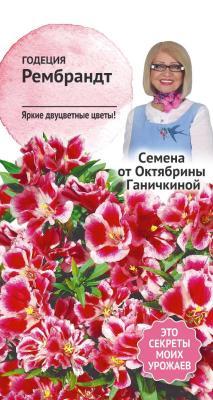 Годеция Рембранд 0,1 г Ганичкина в интернет гипермаркете «Планета Лета». Фото