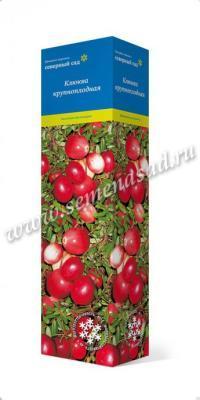 Клюква крупноплодная Бен Лир П в интернет гипермаркете «Планета Лета». Фото