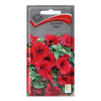 Петуния Пламя (ЦВ) 0,1гр. в интернет гипермаркете «Планета Лета». Фото