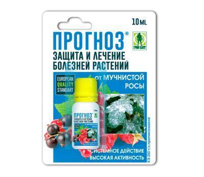 Прогноз 10мл в интернет гипермаркете «Планета Лета». Фото