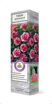 Пион древовидный Коралловый Алтарь П в интернет гипермаркете «Планета Лета». Фото