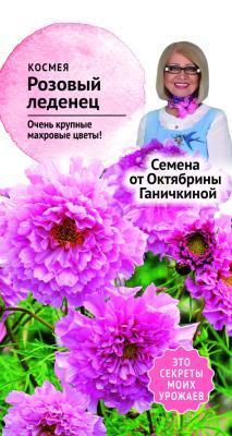 Космея Розовый леденец 0,1 гр Ганичкина в интернет гипермаркете «Планета Лета». Фото