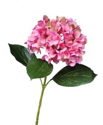 Гортензия "Grande Fiore" ярко-розовая в-70, д-21 см 6/36 30.0613151PK в интернет гипермаркете «Планета Лета». Фото