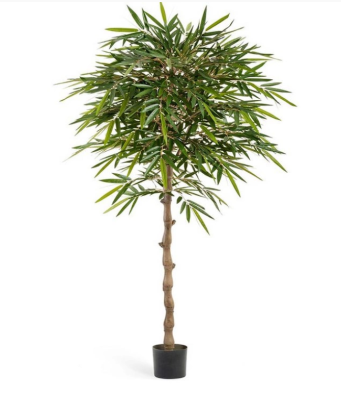 Бамбук Новый зонтичный 180 см в интернет гипермаркете «Планета Лета». Фото