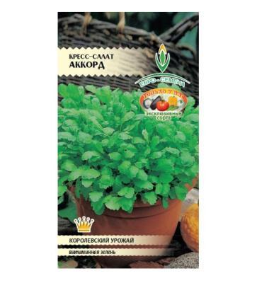 Кресс-салат Аккорд в интернет гипермаркете «Планета Лета». Фото