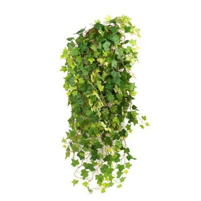 Плющ в кашпо, Гор18 М в интернет гипермаркете «Планета Лета». Фото