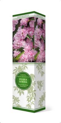 Сакура (Вишня декоративная) Розеа Плена/ЦКор в интернет гипермаркете «Планета Лета». Фото