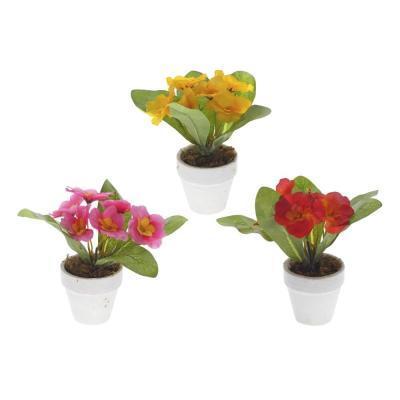 Цветочная композиция Примула 14 см 714239 в интернет гипермаркете «Планета Лета». Фото