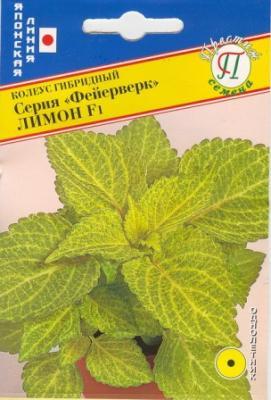 Колеус Фейерверк Лимон F1 в интернет гипермаркете «Планета Лета». Фото