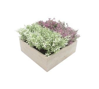 Растение в кашпо (29*29*17см) HD-37444 в интернет гипермаркете «Планета Лета». Фото