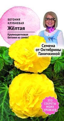 Бегония клубневая Желтая 6 шт Ганичкина