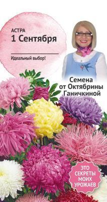 Астра 1 сентября 0,3 гр Ганичкина в интернет гипермаркете «Планета Лета». Фото
