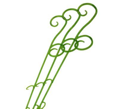 Опора для орхидей зеленый 0,6м в интернет гипермаркете «Планета Лета». Фото