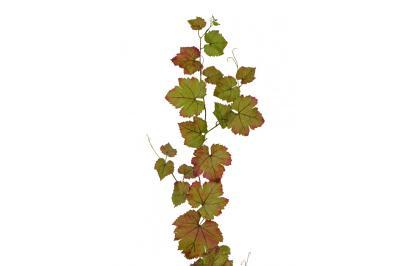 Виноградная гирлянда зеленая с прожилками бордо 230 см 6/48 20.6225GNR TREEZ в интернет гипермаркете «Планета Лета». Фото Виноградная гирлянда зеленая с прожилками бордо 230 см 6/48 20.6225GNR в интернет гипермаркете «Планета Лета». Фото