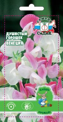 Горошек душистый Венеция 0,5 гр в интернет гипермаркете «Планета Лета». Фото