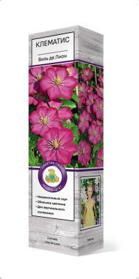 Клематис крупноцветковый Виль де Лион/ЦКор в интернет гипермаркете «Планета Лета». Фото