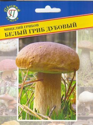 Белый гриб дубовый 00018944 в интернет гипермаркете «Планета Лета». Фото