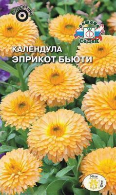 Календула Эприкот Бьюти в интернет гипермаркете «Планета Лета». Фото