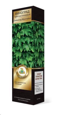 Виноград трехлисточковый (Партеноциссус) Даймонд Монтайнс в коробкеЛюкс в интернет гипермаркете «Планета Лета». Фото