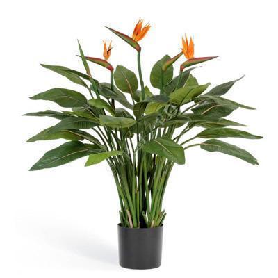 Стрелиция Reginae, Гор13, Выс35 в интернет гипермаркете «Планета Лета». Фото