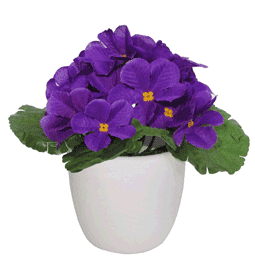 Цветы в кашпо (H-15см) HR-38338 в интернет гипермаркете «Планета Лета». Фото