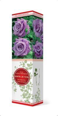 Роза чайно-гибридная Шарль де Голль Гор23 М в интернет гипермаркете «Планета Лета». Фото