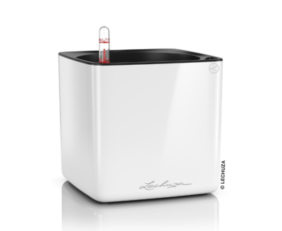 Кашпо Lechuza "Cube Glossy Complete white high gloss" (пластик), 17x17xH16 см Lechuza в интернет гипермаркете «Планета Лета». Фото Кашпо Lechuza "Cube Glossy Complete white high gloss" (пластик), 17x17xH16 см в интернет гипермаркете «Планета Лета». Фото