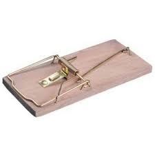 Крысоловка STAYER "STANDARD", деревянное основание STAYER в интернет гипермаркете «Планета Лета». Фото Крысоловка STAYER "STANDARD", деревянное основание в интернет гипермаркете «Планета Лета». Фото