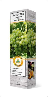 Виноград плодовый Супер-Экстра/ЦКор П в интернет гипермаркете «Планета Лета». Фото