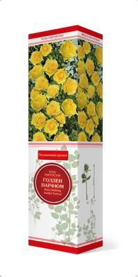 Роза плетистая Голден Парфюм П в интернет гипермаркете «Планета Лета». Фото