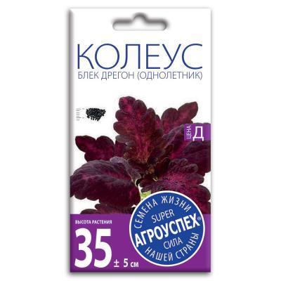 Колеус Блек Дрегон 10 шт в интернет гипермаркете «Планета Лета». Фото