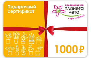 Sertifikat_1000.png Сертификат 1000 рублей
