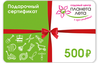 Sertifikat_500.png Сертификат 500 рублей