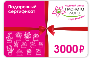 Sertifikat_3000.png Сертификат 3000 рублей
